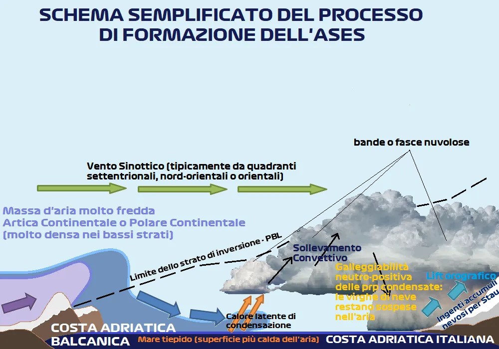 Schema ases