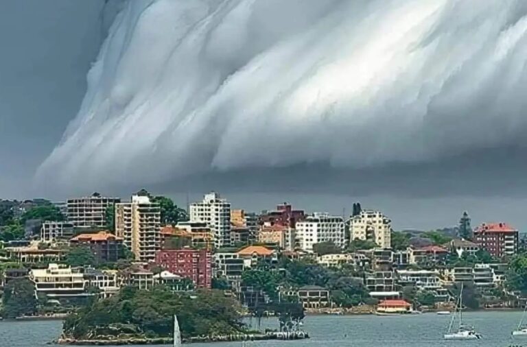 Shelf cloud Sidney