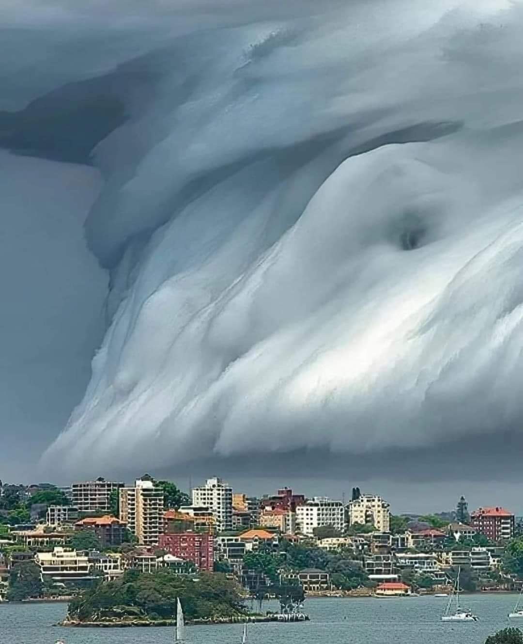 Shelf Cloud Sidney 