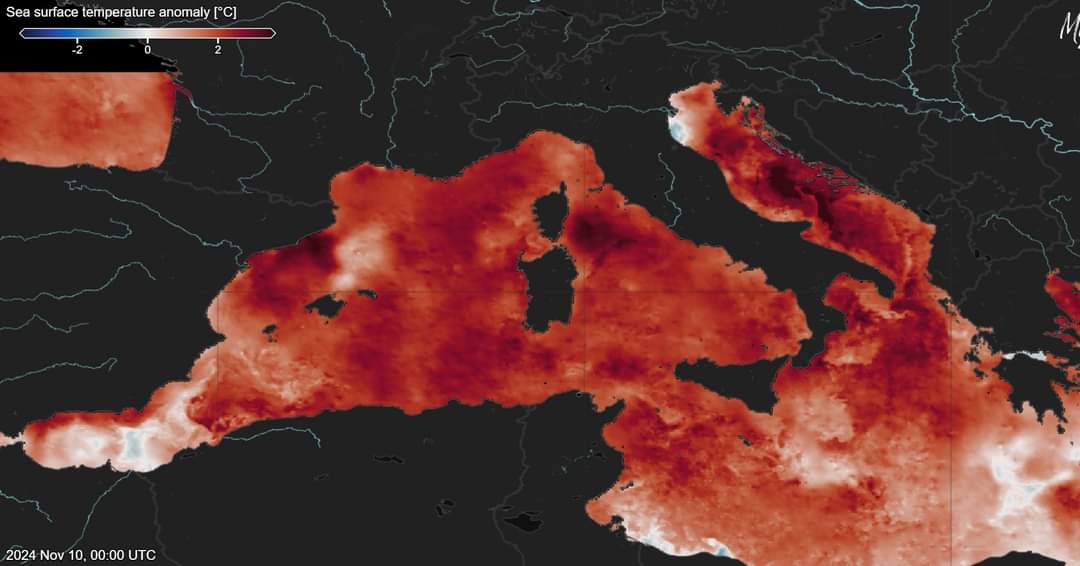 Temperature superficiali Mediterraneo 