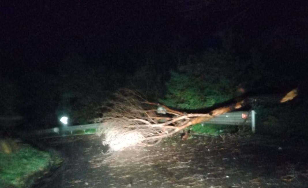 maltempo vento calabria cosenza