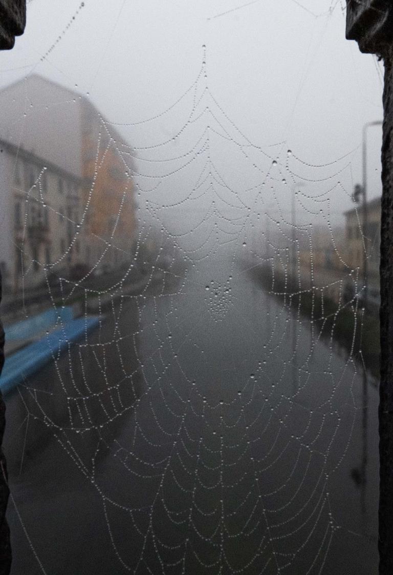 nebbia oggi milano