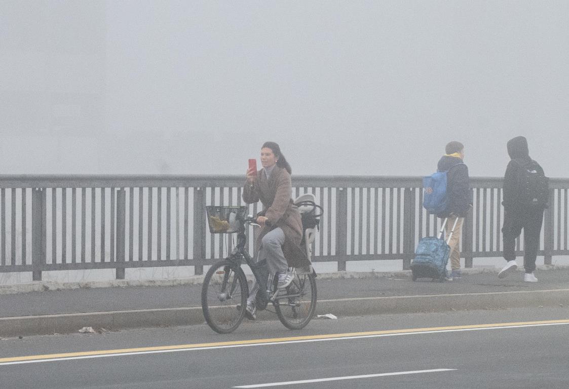 nebbia oggi milano