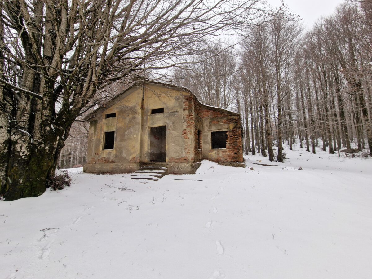 neve aspromonte 30 novembre 2024