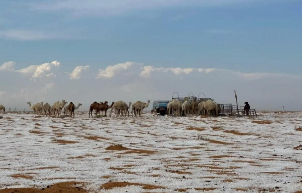 neve deserto arabia saudita