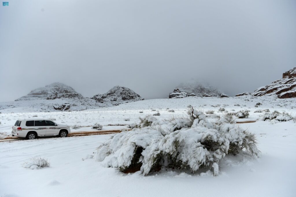 neve deserto arabia saudita