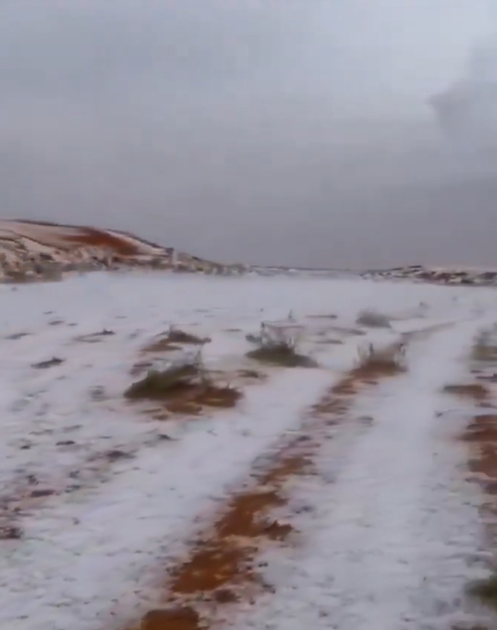 neve deserto arabia saudita