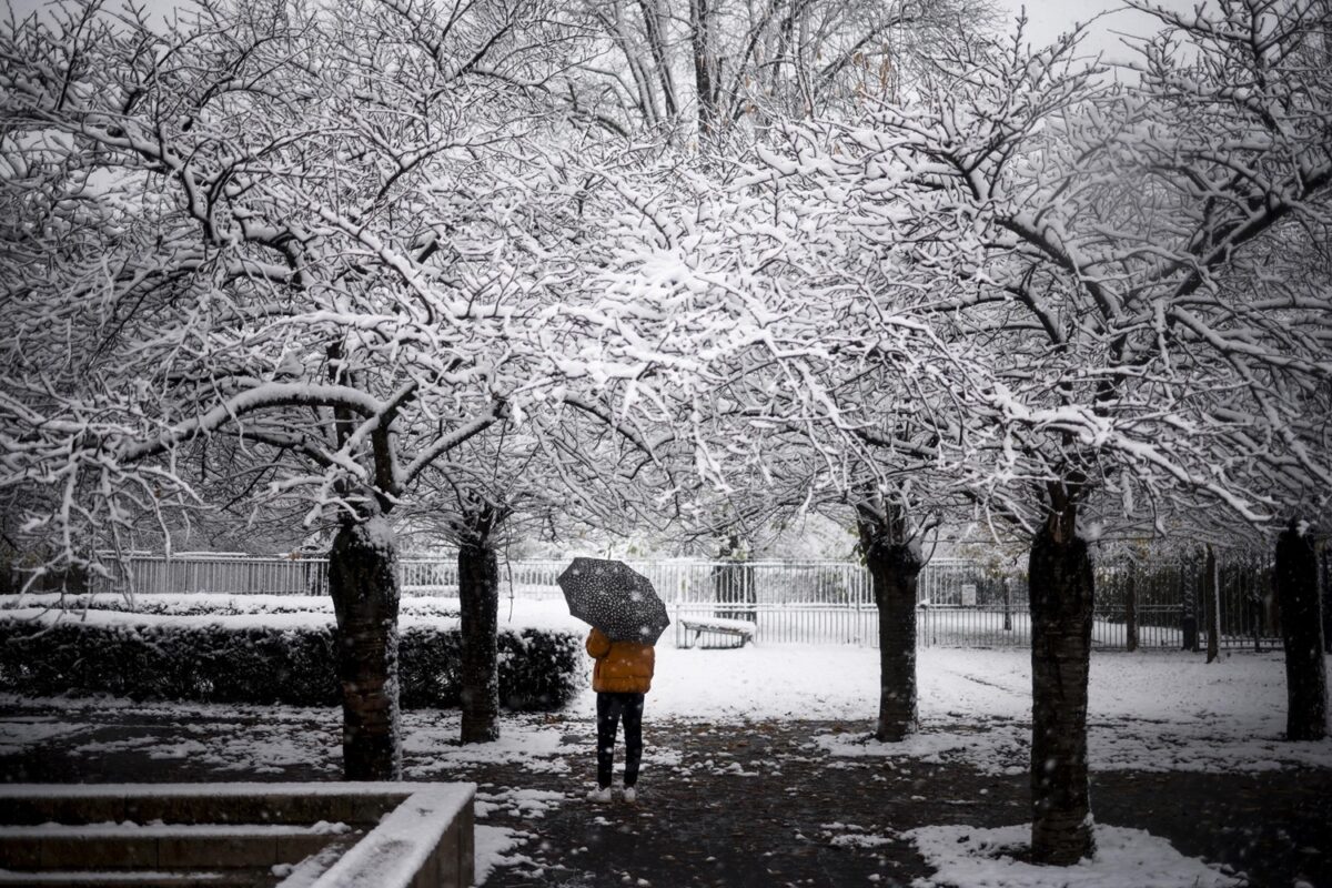 neve francia