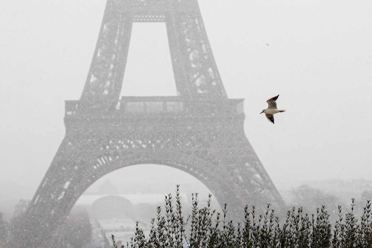 neve francia