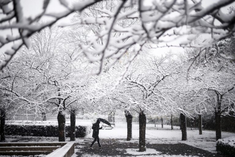 neve francia