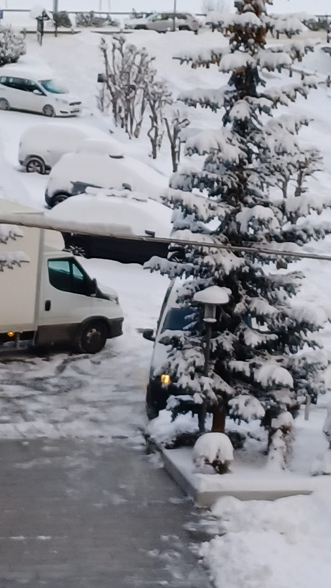 neve livigno