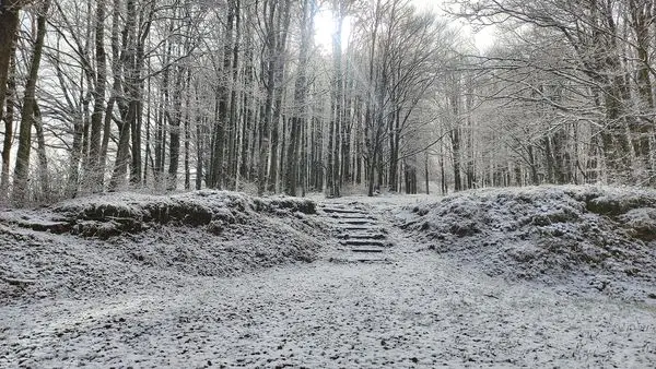 neve pratomagno toscana