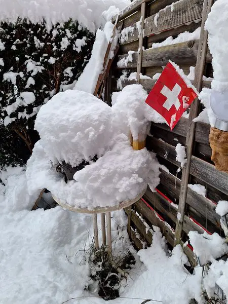 neve svizzera