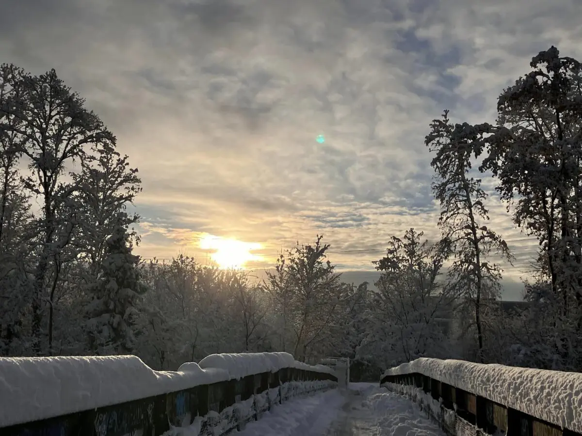 neve svizzera