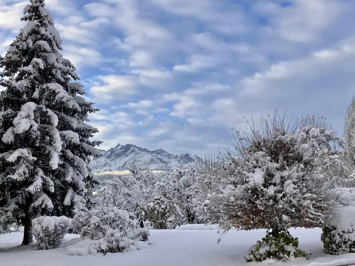 neve svizzera