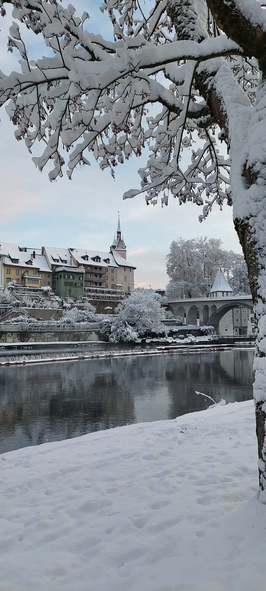 neve svizzera