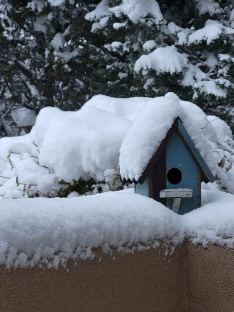 neve tempesta new mexico