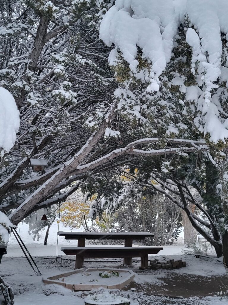 neve tempesta new mexico