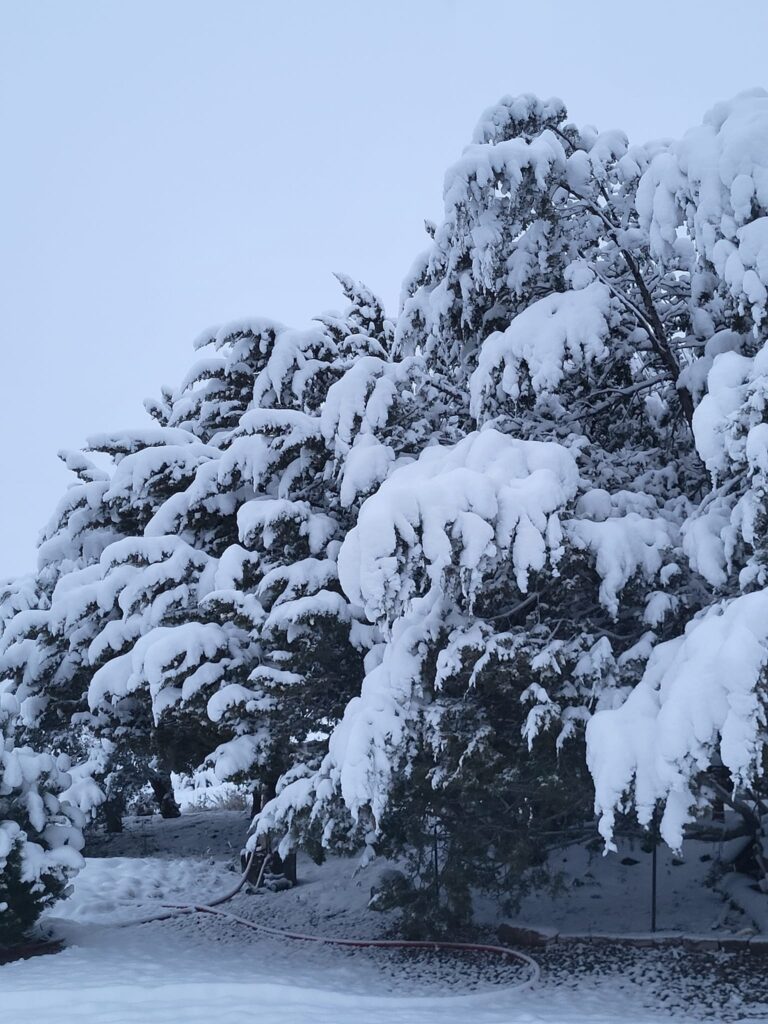 neve tempesta new mexico