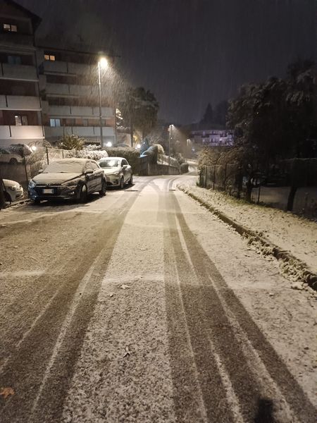 neve varese