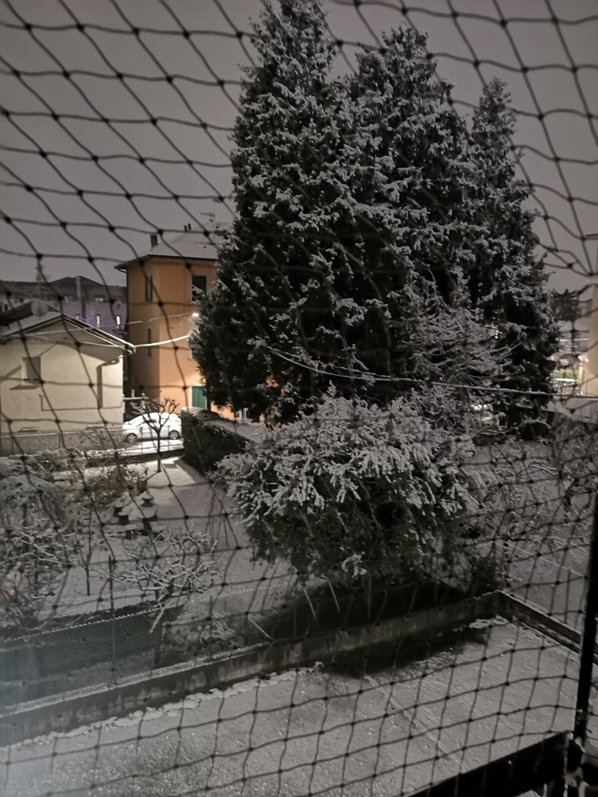 neve varese