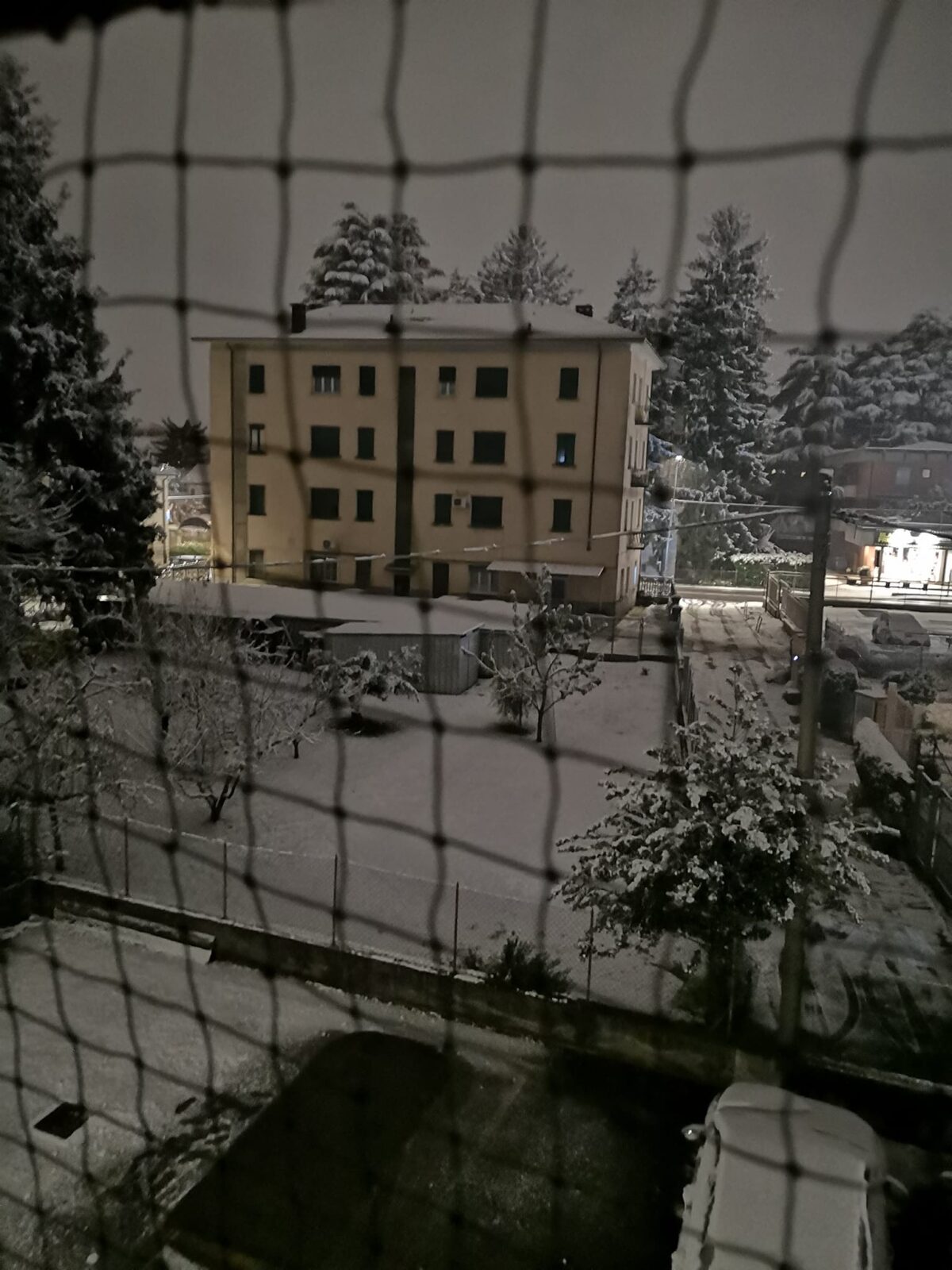 neve varese