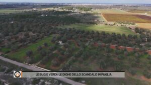 siccità dighe puglia