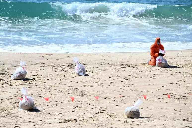 spiagge di Sydney