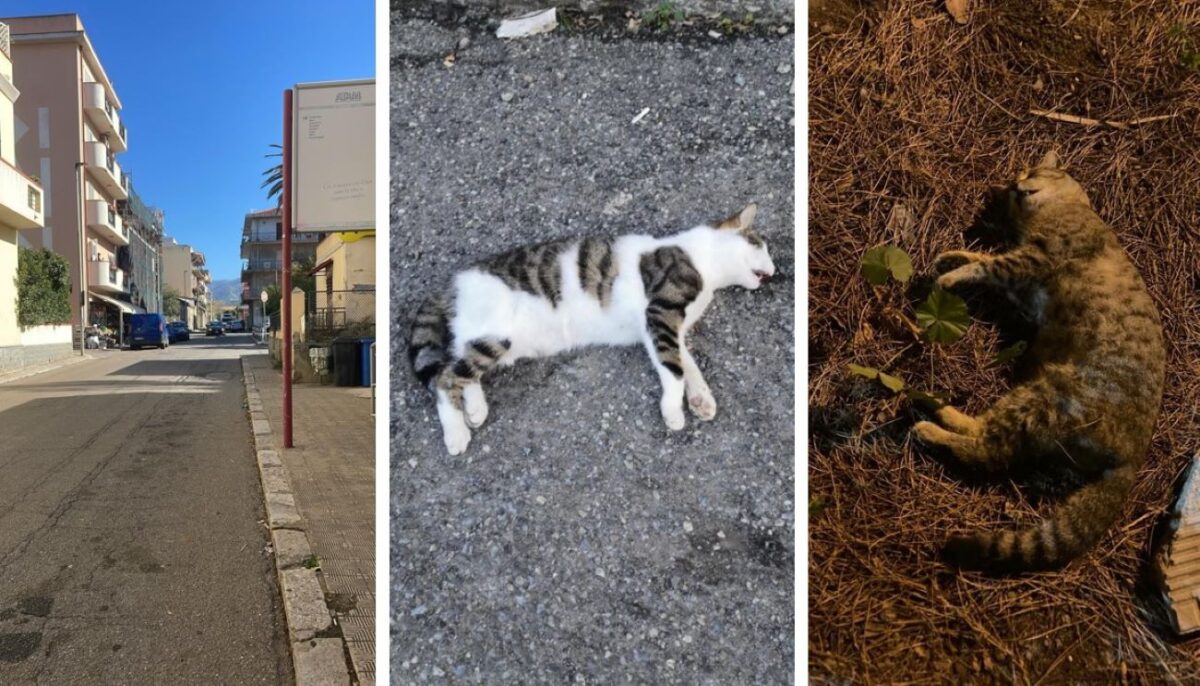 strage Gatti Reggio Calabria