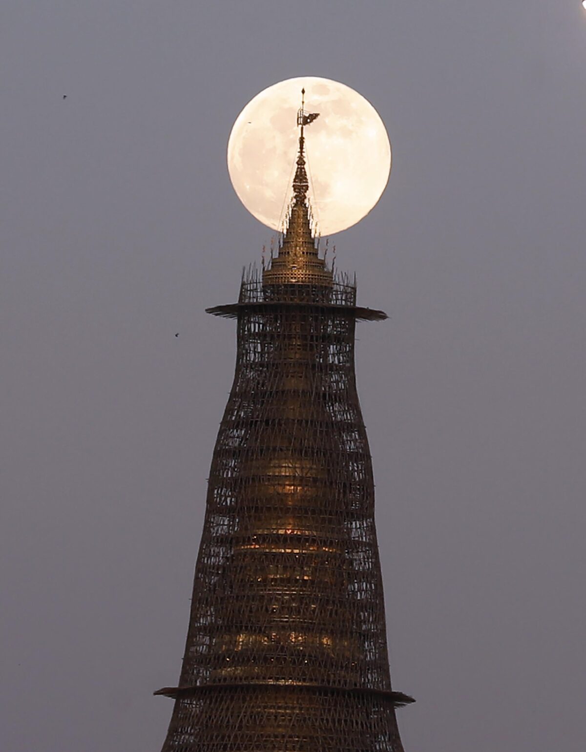 superluna 15 novembre 2024