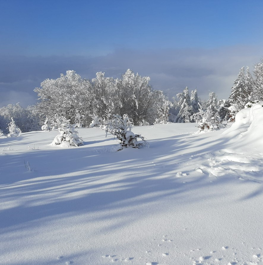 Monte Falco