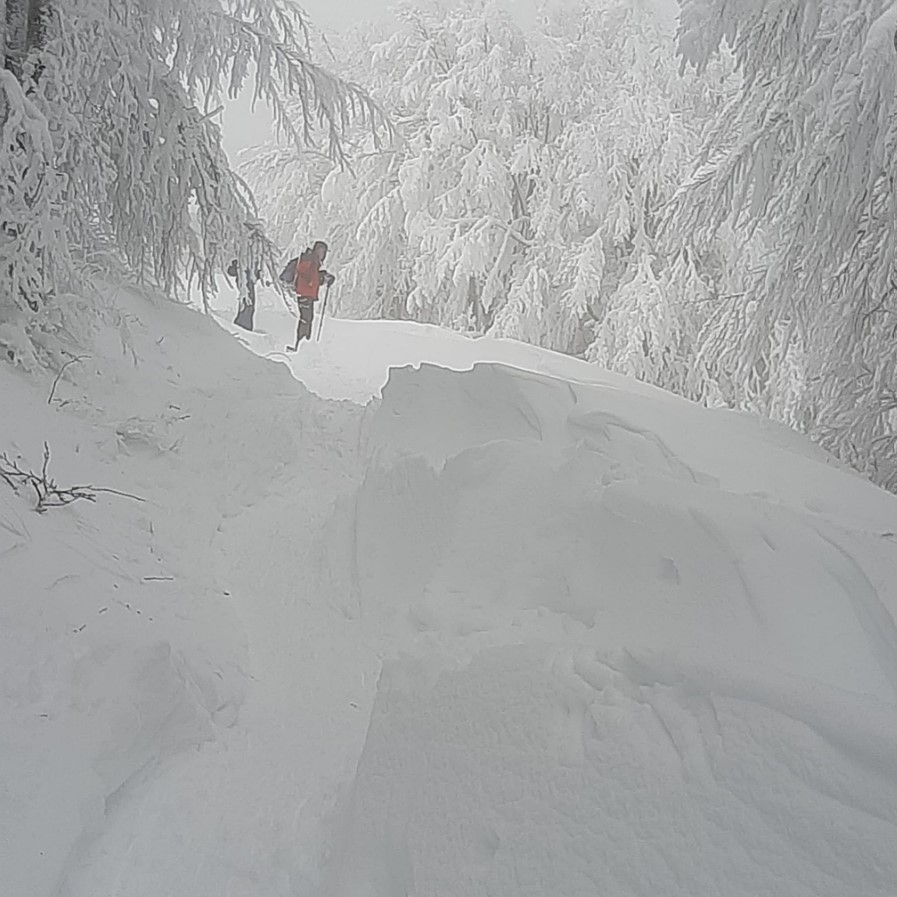 Monte Falco