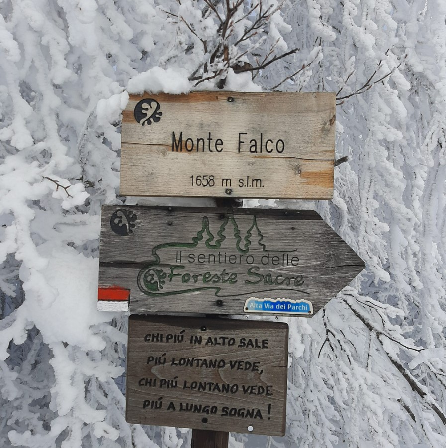 Monte Falco