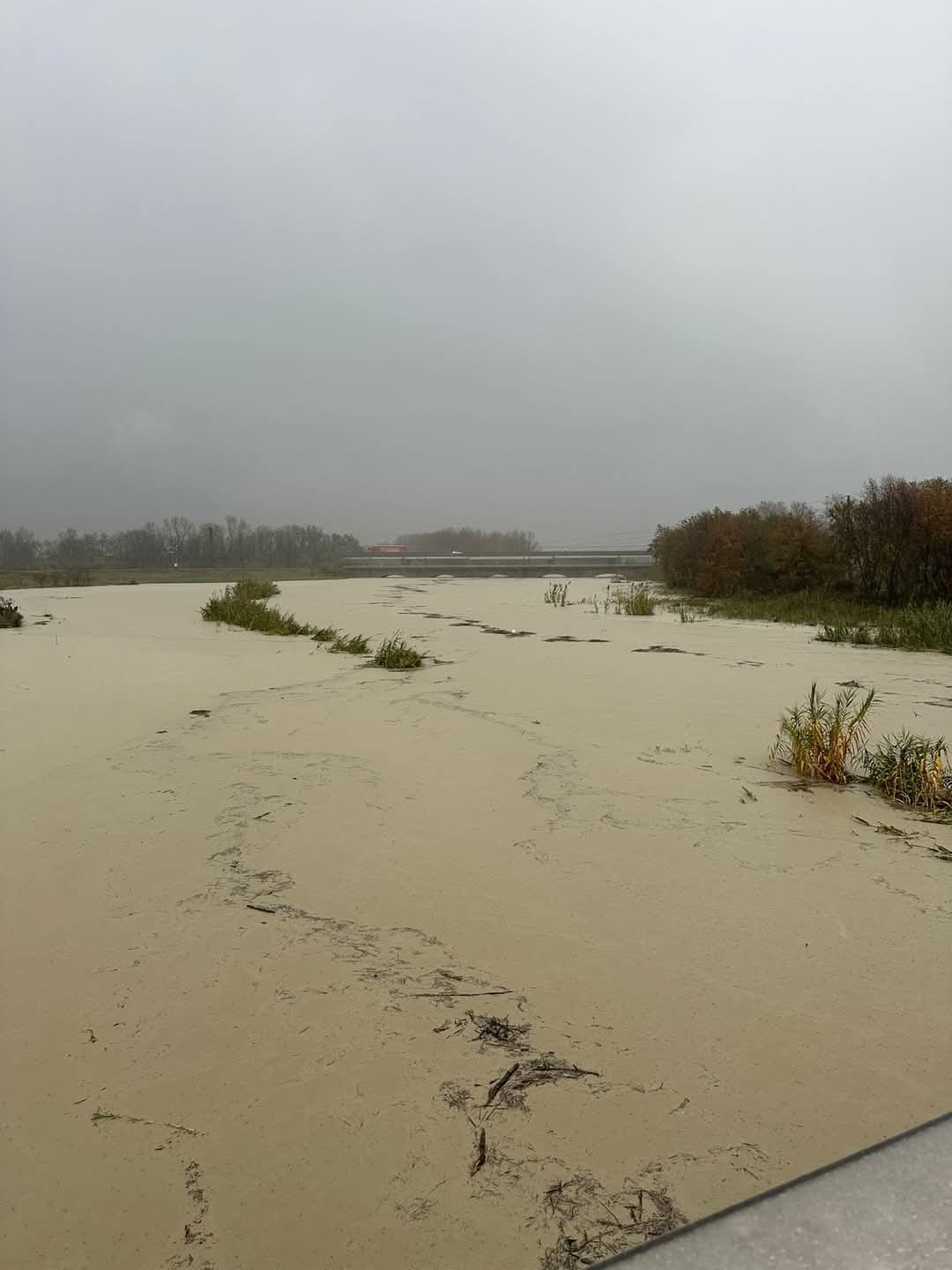 maltempo piena fiume savio emilia romagna