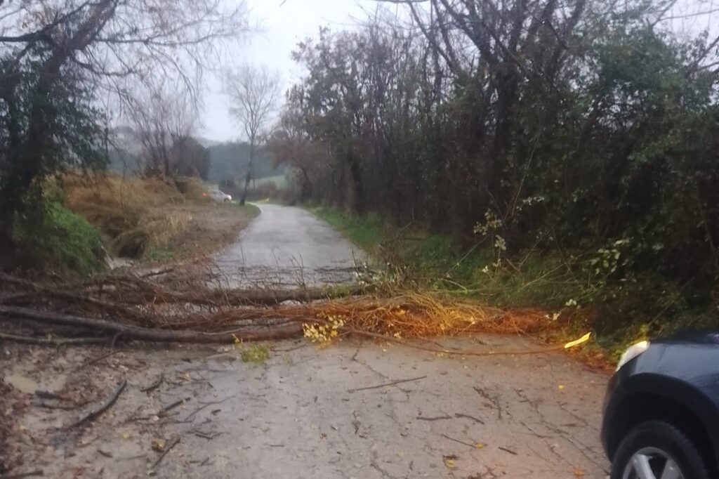 maltempo senigallia oggi