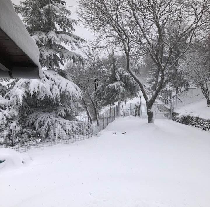 neve alessandrino piemonte