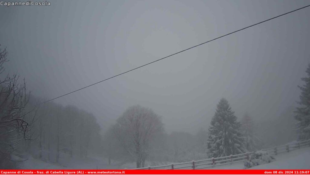 neve alessandrino piemonte