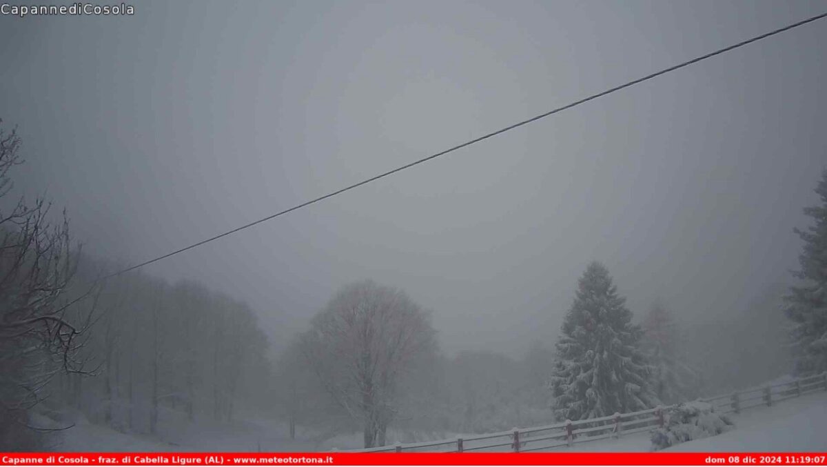 neve alessandrino piemonte