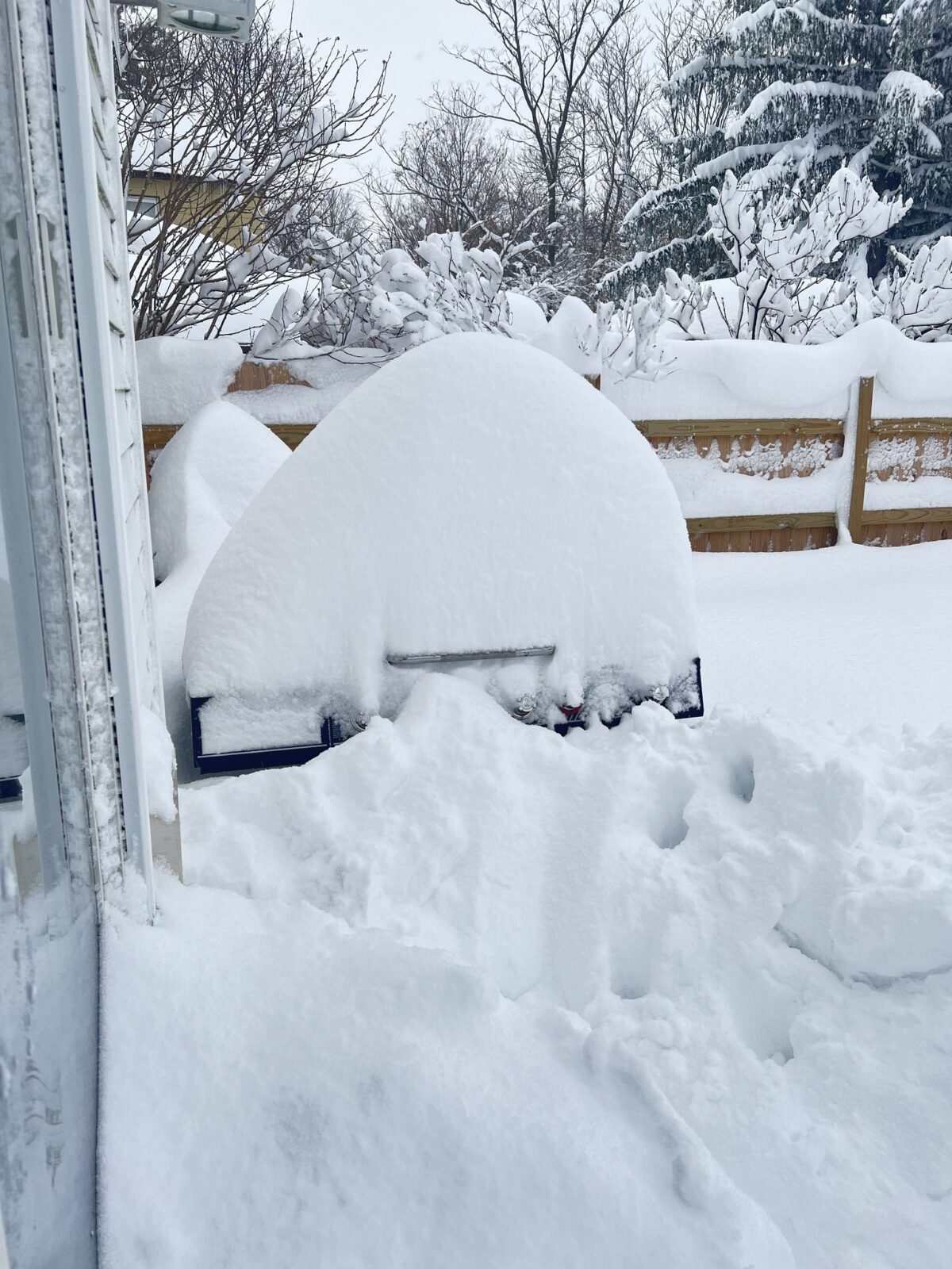 neve effetto lago USA