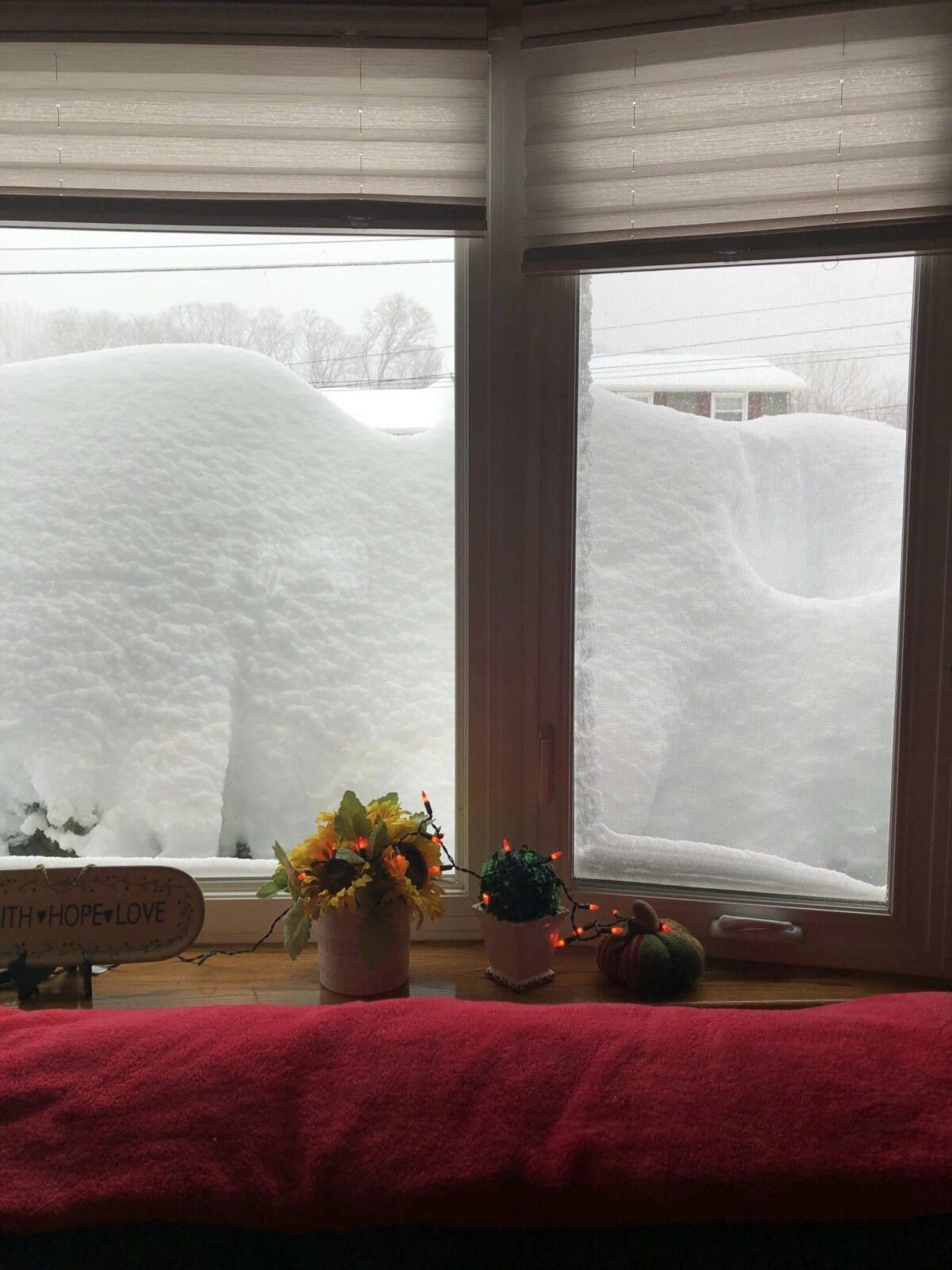 neve effetto lago USA