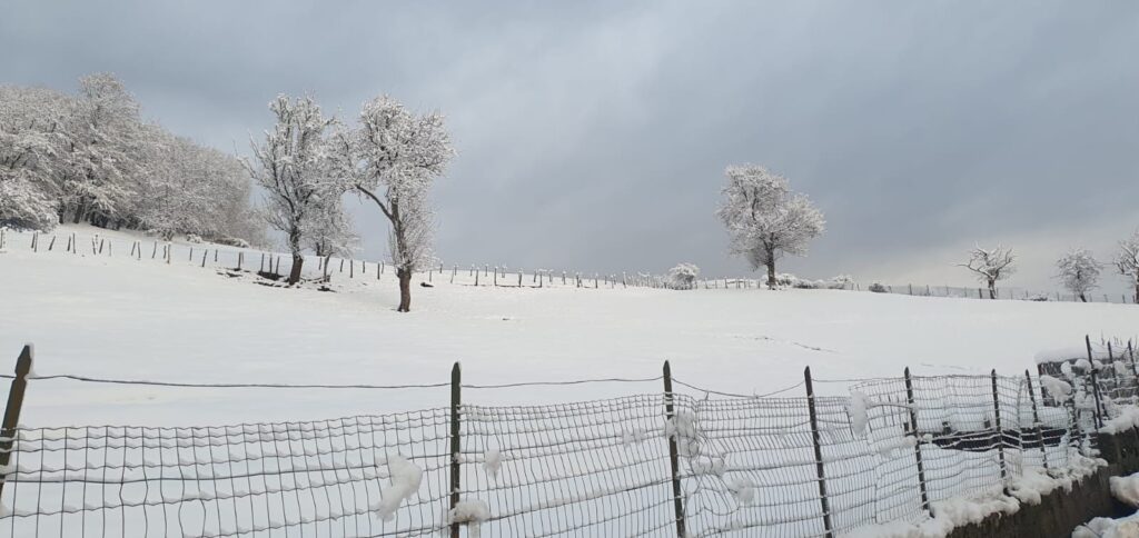 neve emilia romagna