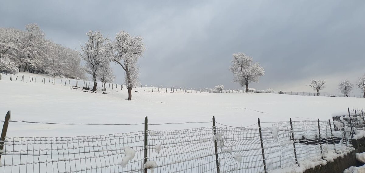 neve emilia romagna