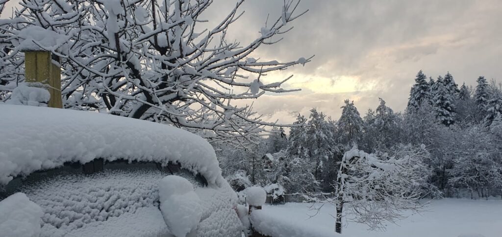 neve emilia romagna