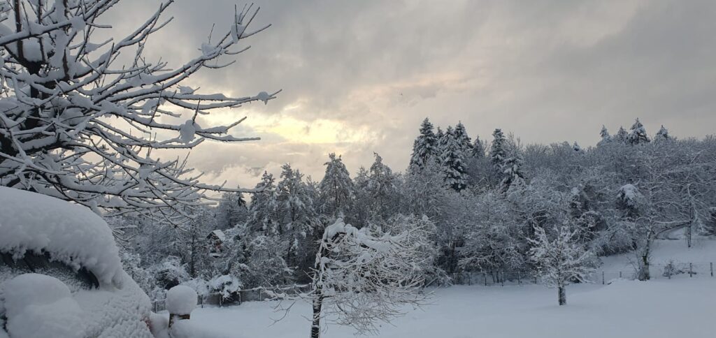 neve emilia romagna