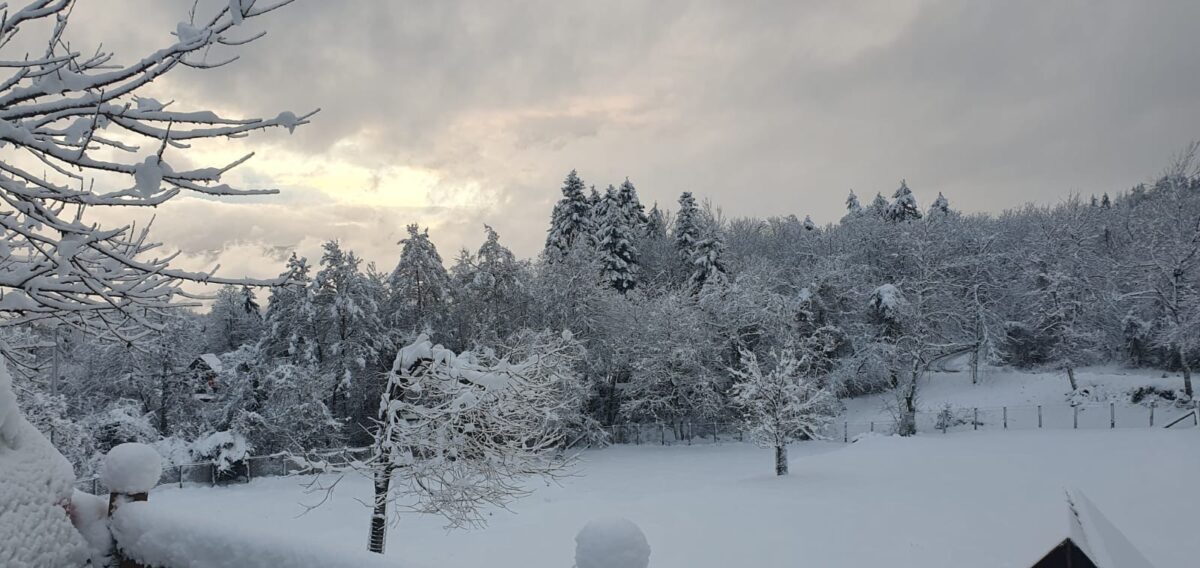 neve emilia romagna