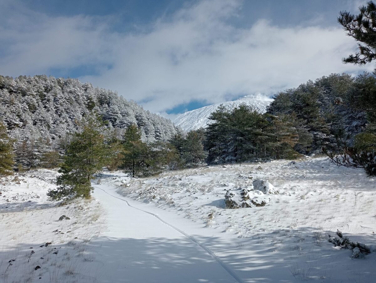 neve etna