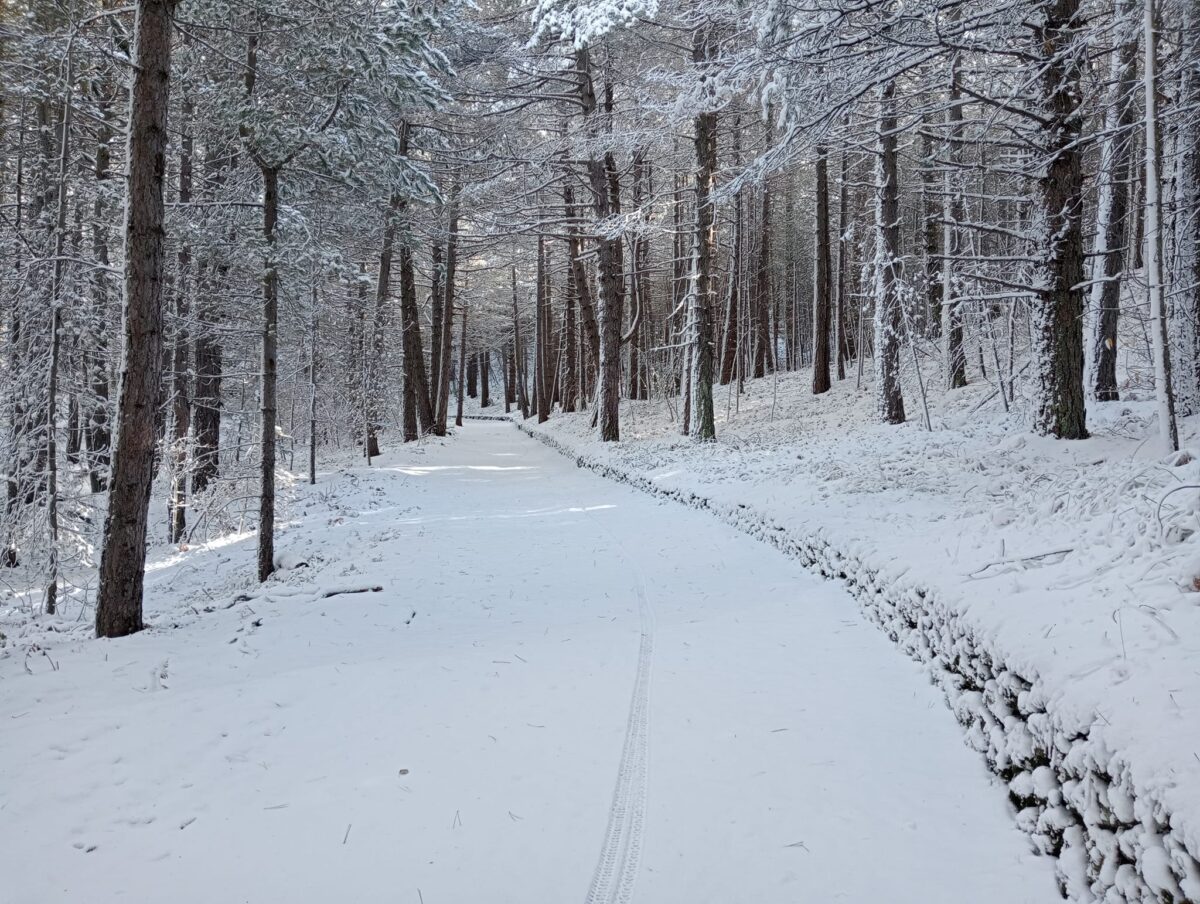 neve etna