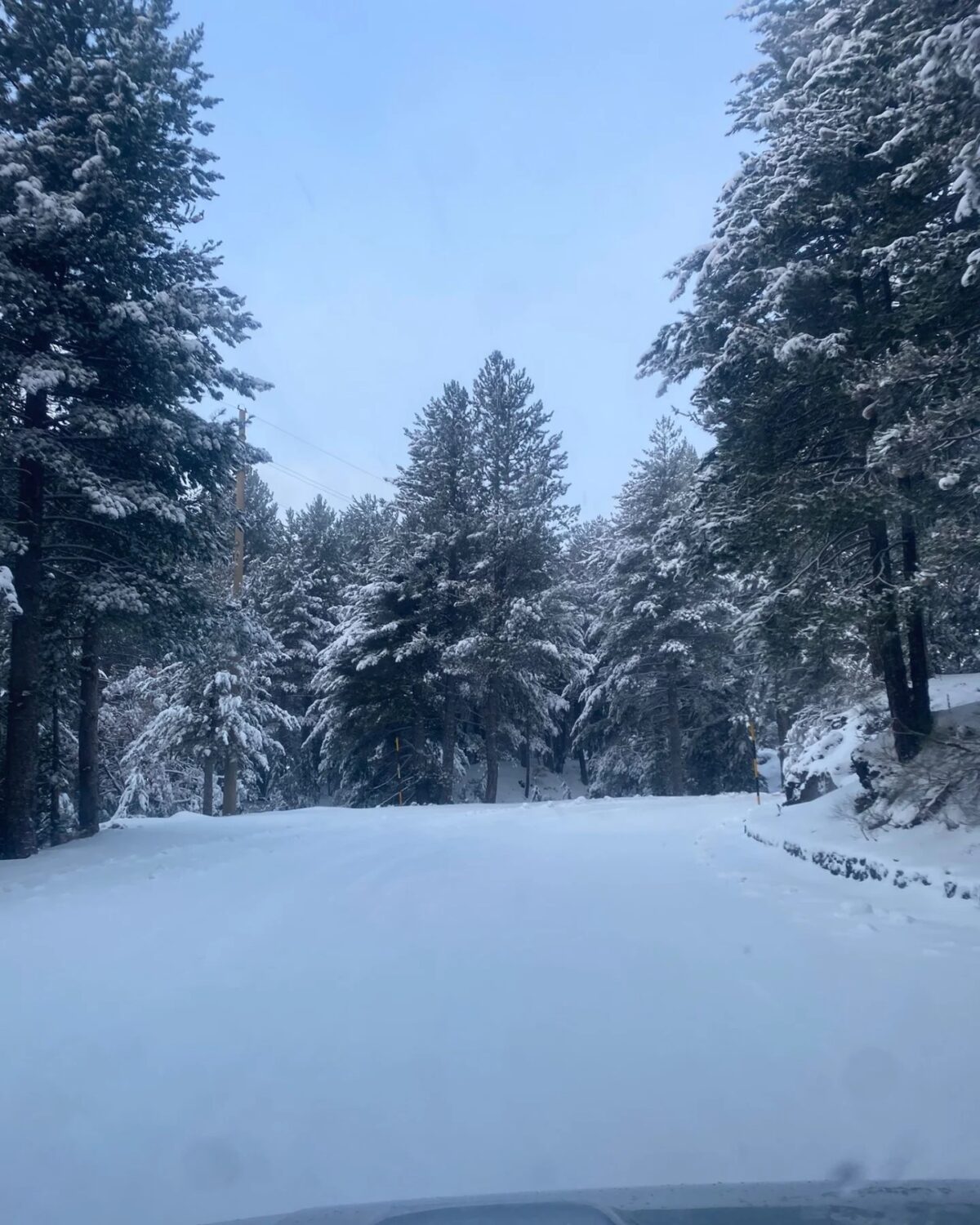 neve etna