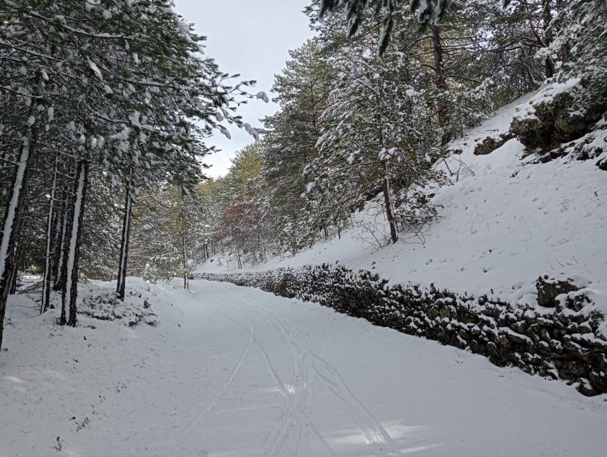 neve etna