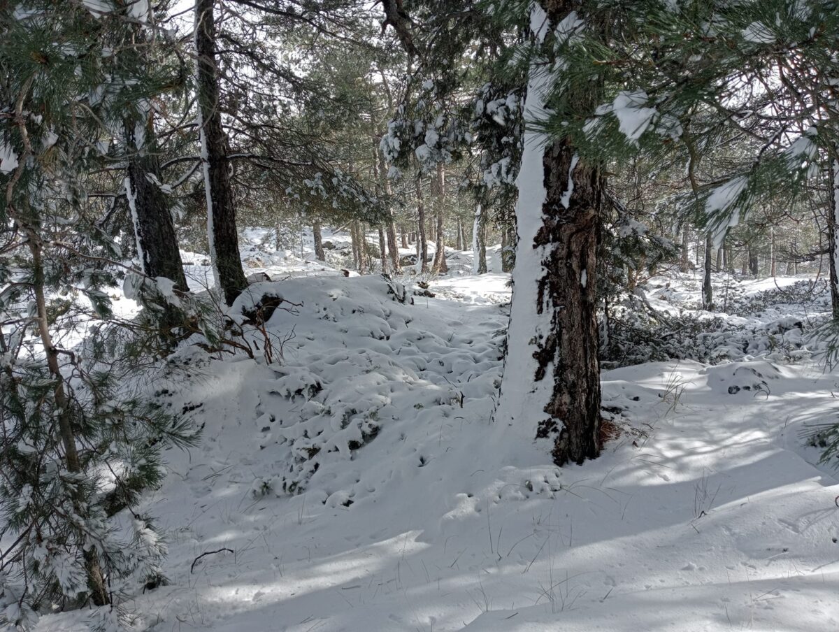 neve etna